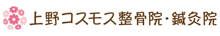 上野コスモス整骨院・鍼灸院